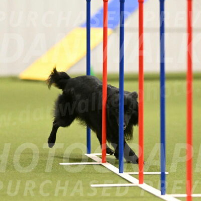 Okos-Stacie-Rosenburg-04280