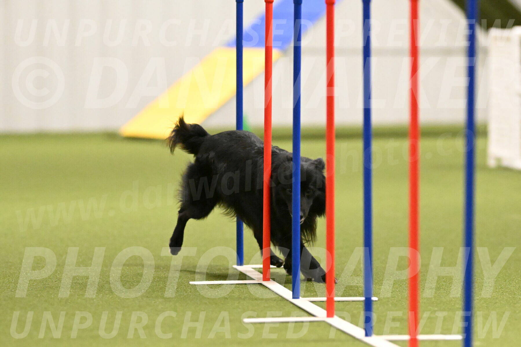 Okos-Stacie-Rosenburg-04280