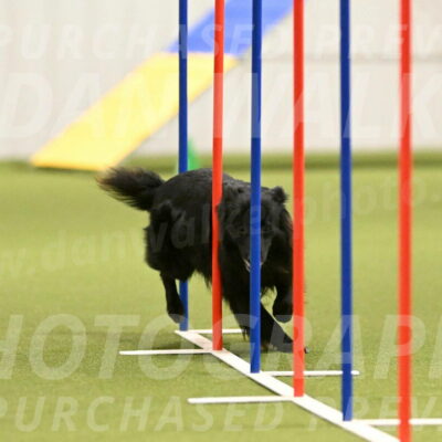 Okos-Stacie-Rosenburg-04281