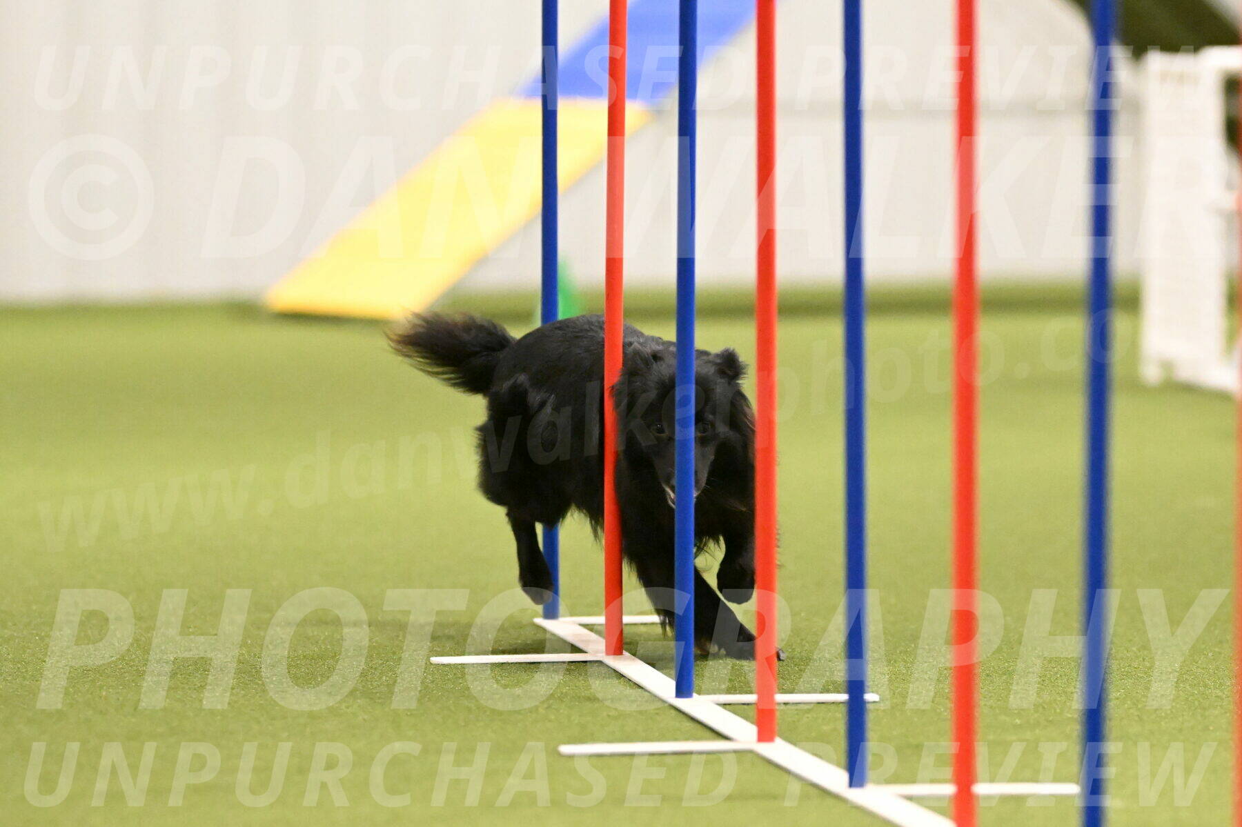 Okos-Stacie-Rosenburg-04281