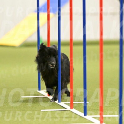 Okos-Stacie-Rosenburg-04282