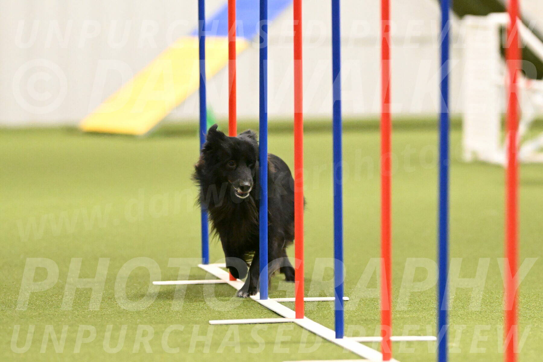 Okos-Stacie-Rosenburg-04282