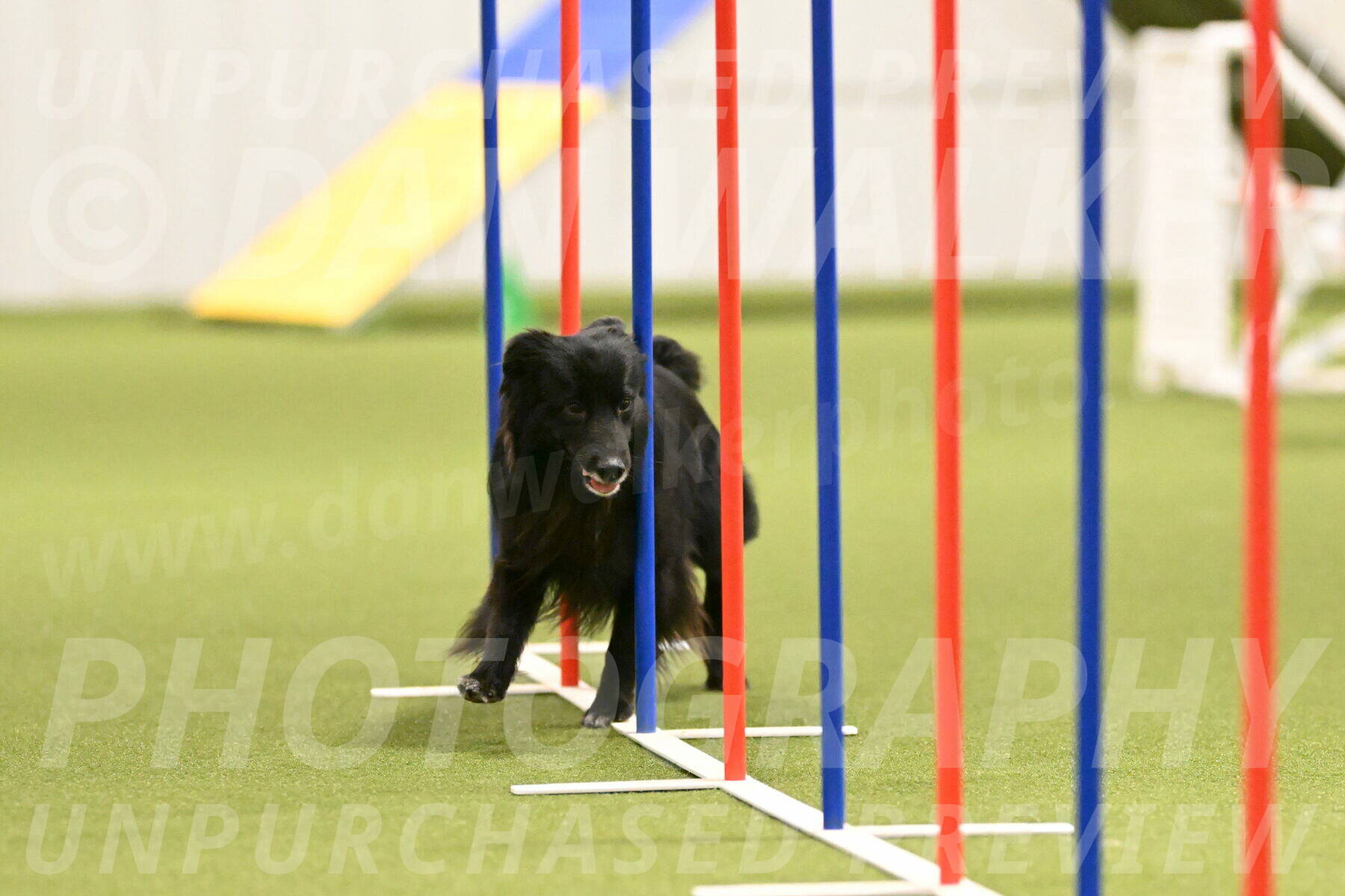 Okos-Stacie-Rosenburg-04283