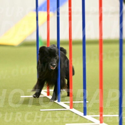 Okos-Stacie-Rosenburg-04283