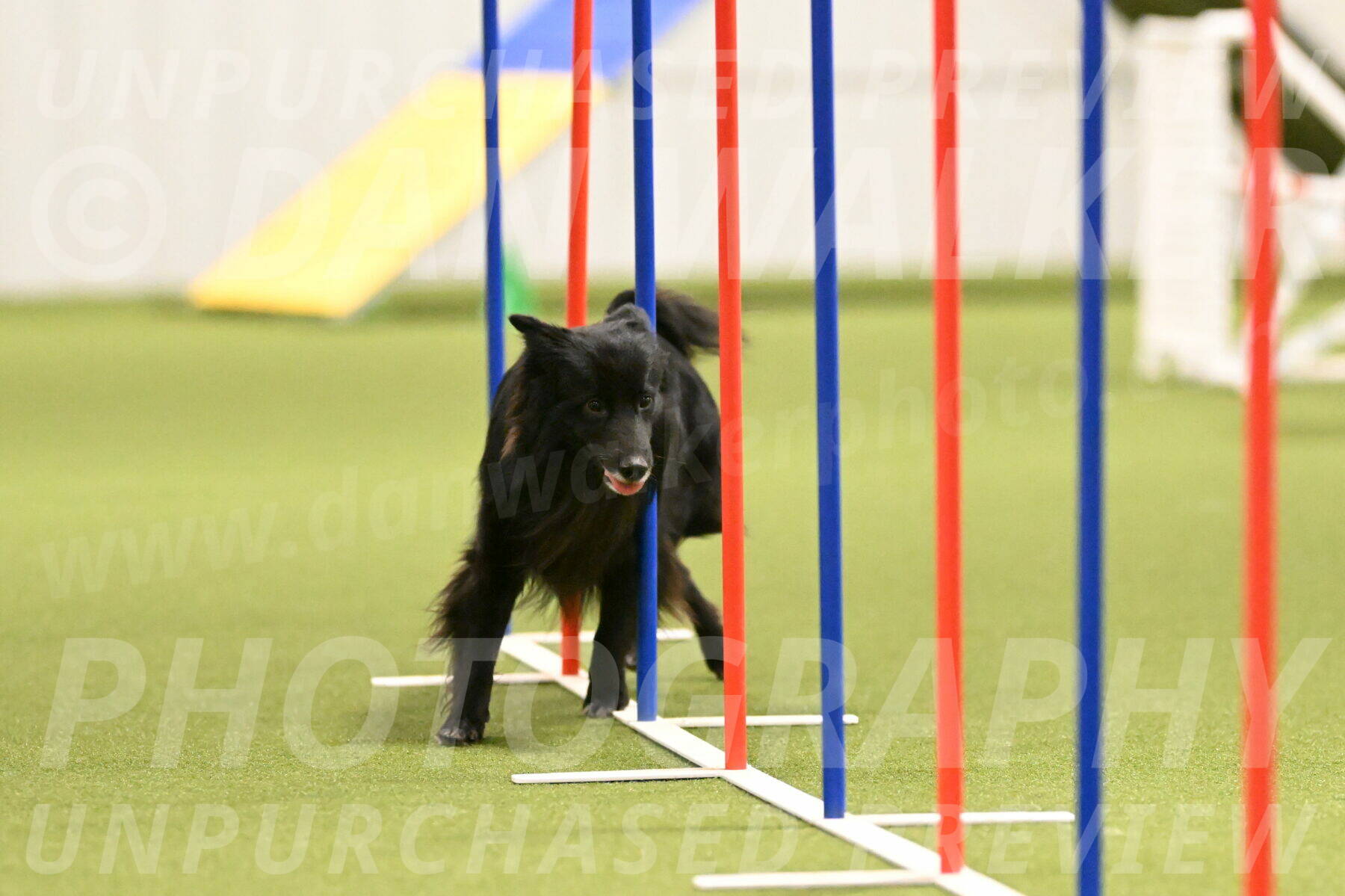 Okos-Stacie-Rosenburg-04284