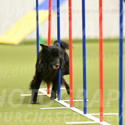 Okos-Stacie-Rosenburg-04284