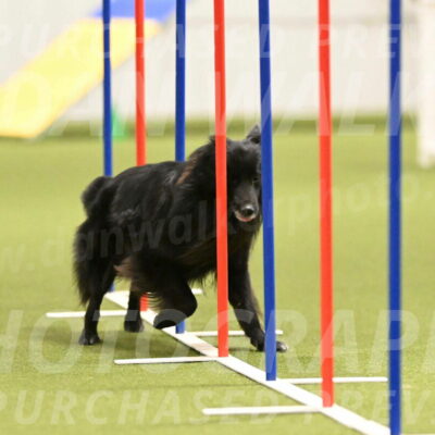 Okos-Stacie-Rosenburg-04285