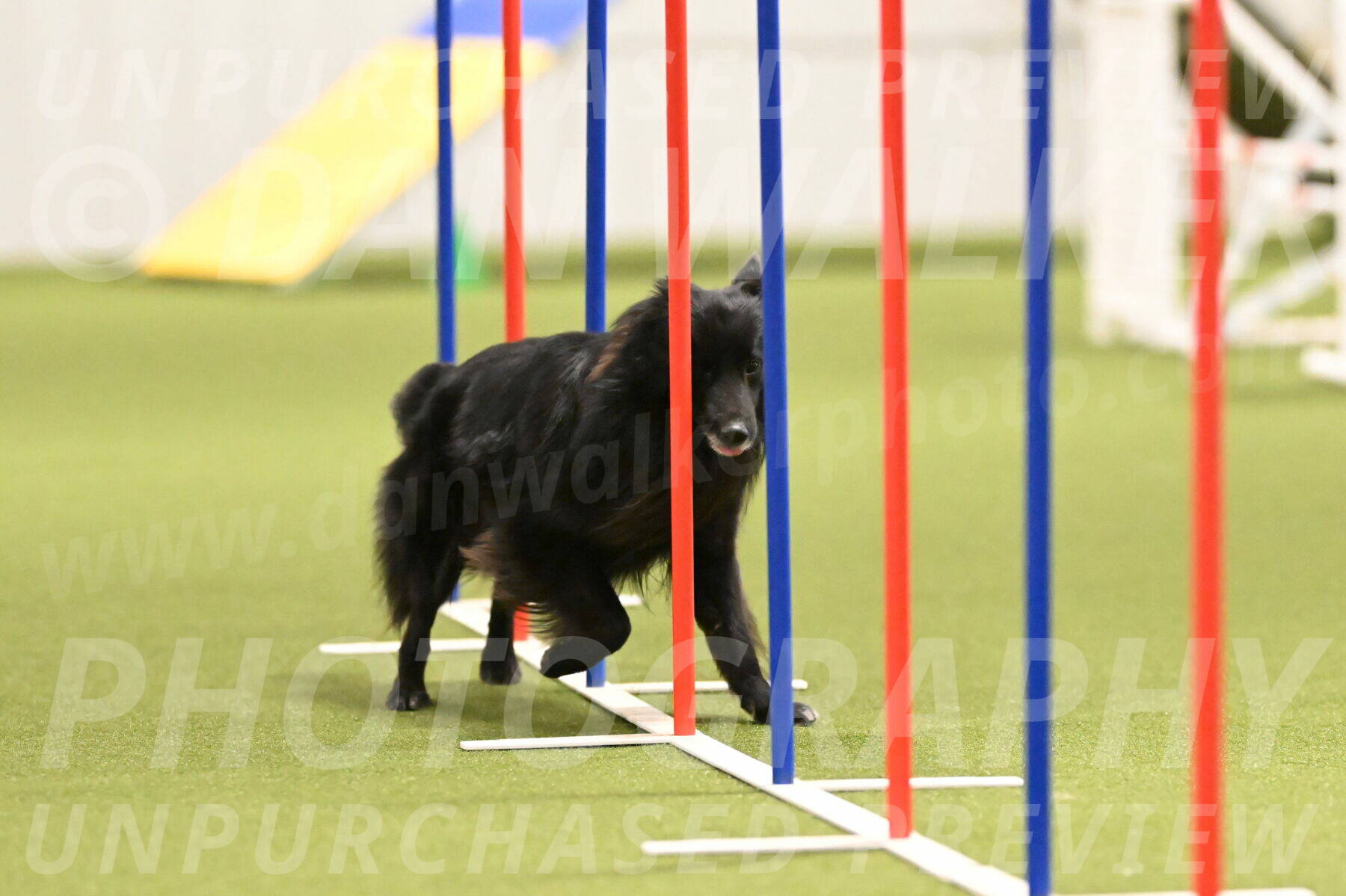 Okos-Stacie-Rosenburg-04285