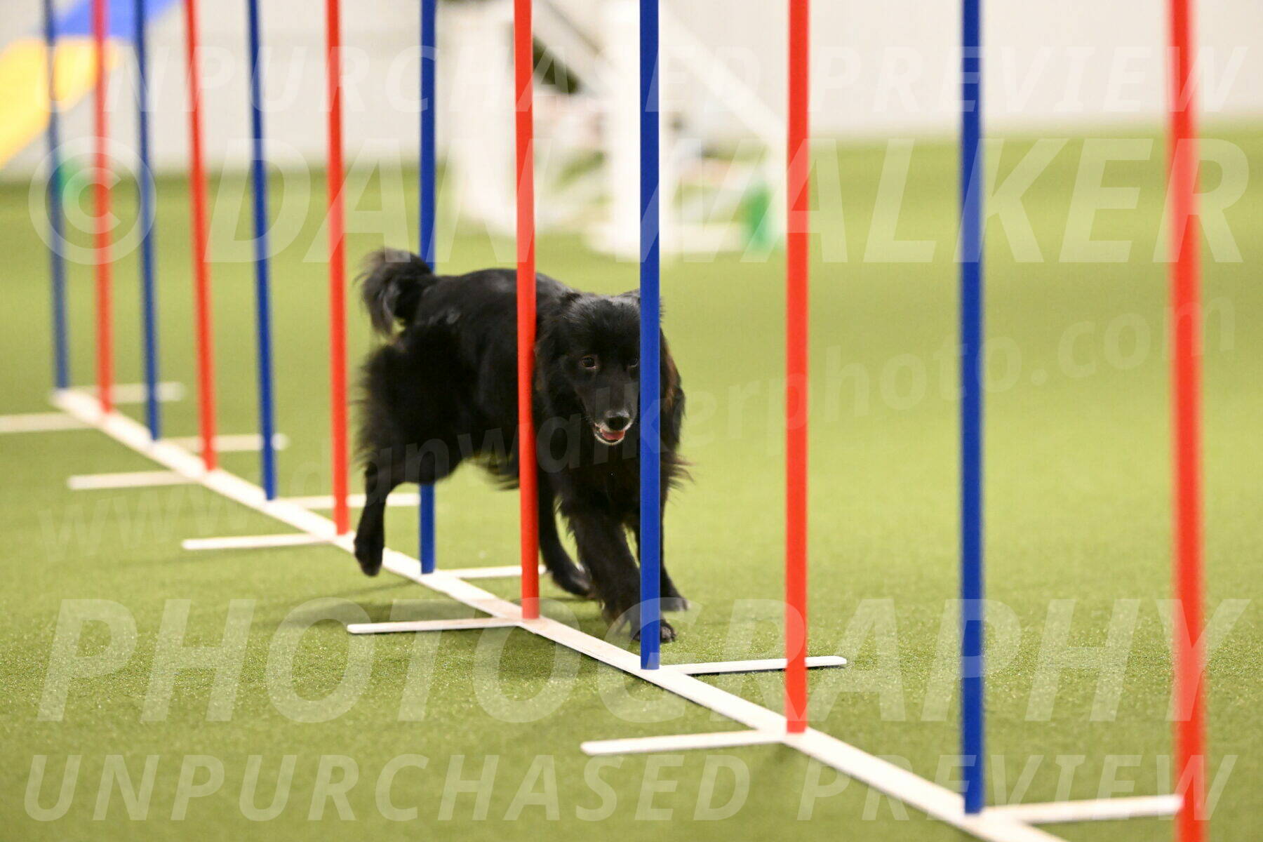 Okos-Stacie-Rosenburg-04286