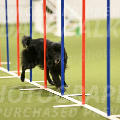 Okos-Stacie-Rosenburg-04286