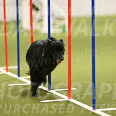 Okos-Stacie-Rosenburg-04287