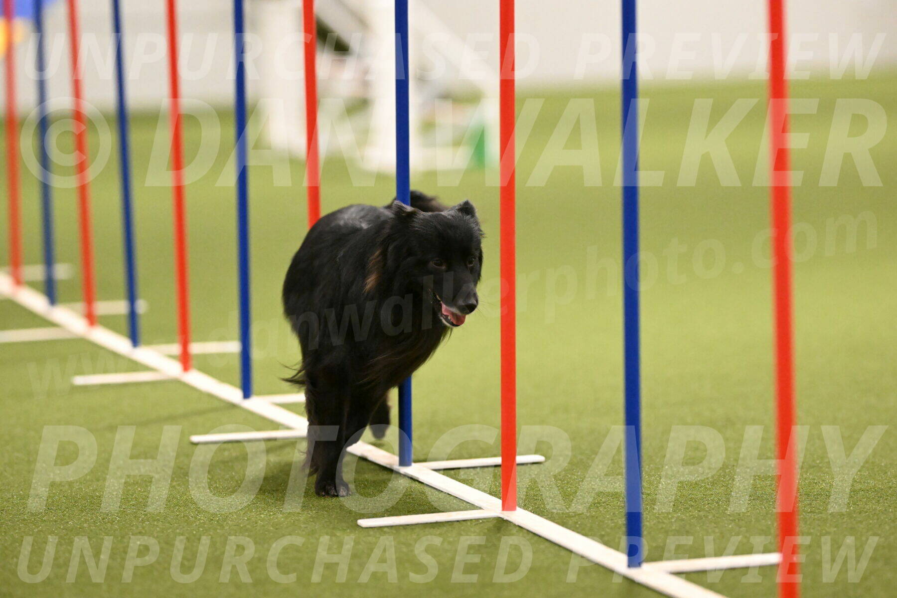 Okos-Stacie-Rosenburg-04287