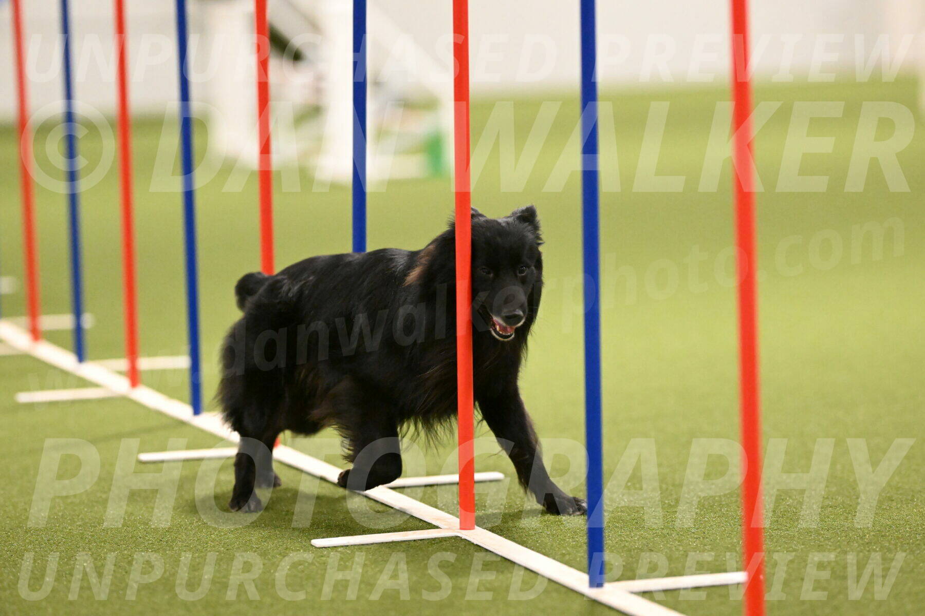 Okos-Stacie-Rosenburg-04288