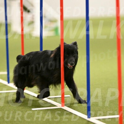 Okos-Stacie-Rosenburg-04288