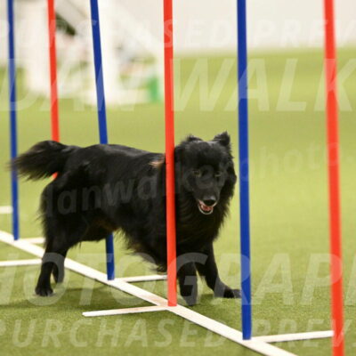 Okos-Stacie-Rosenburg-04289