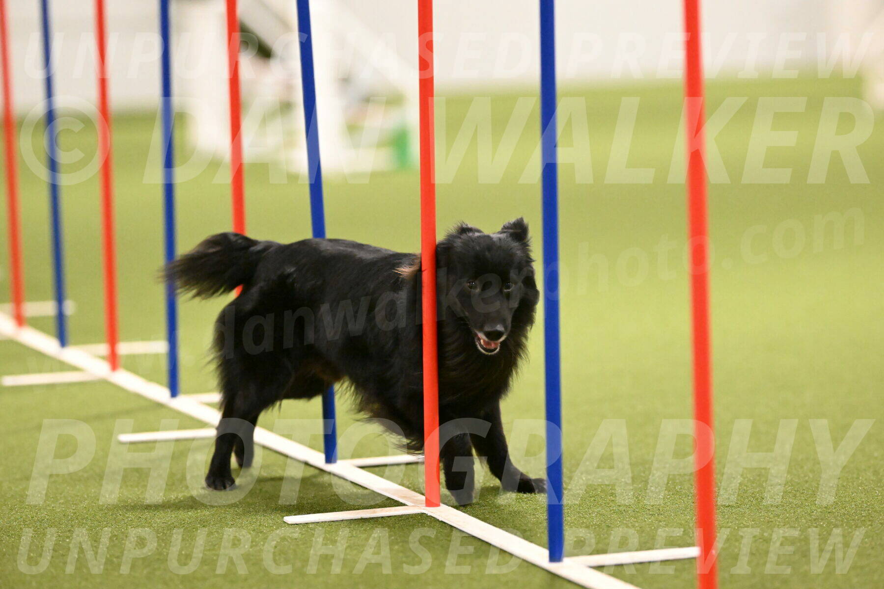 Okos-Stacie-Rosenburg-04289