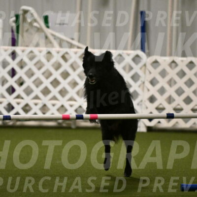 Okos-Stacie-Rosenburg-04290