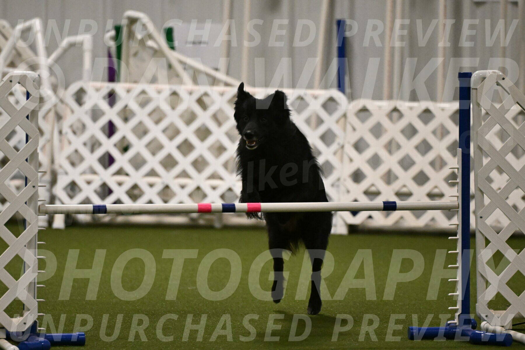 Okos-Stacie-Rosenburg-04290