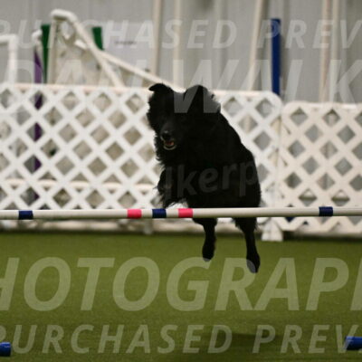 Okos-Stacie-Rosenburg-04291