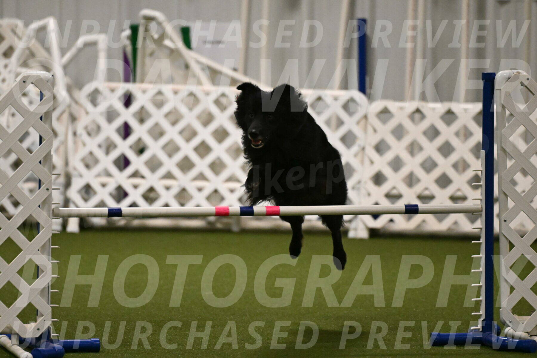 Okos-Stacie-Rosenburg-04291