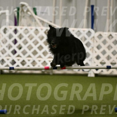 Okos-Stacie-Rosenburg-04292