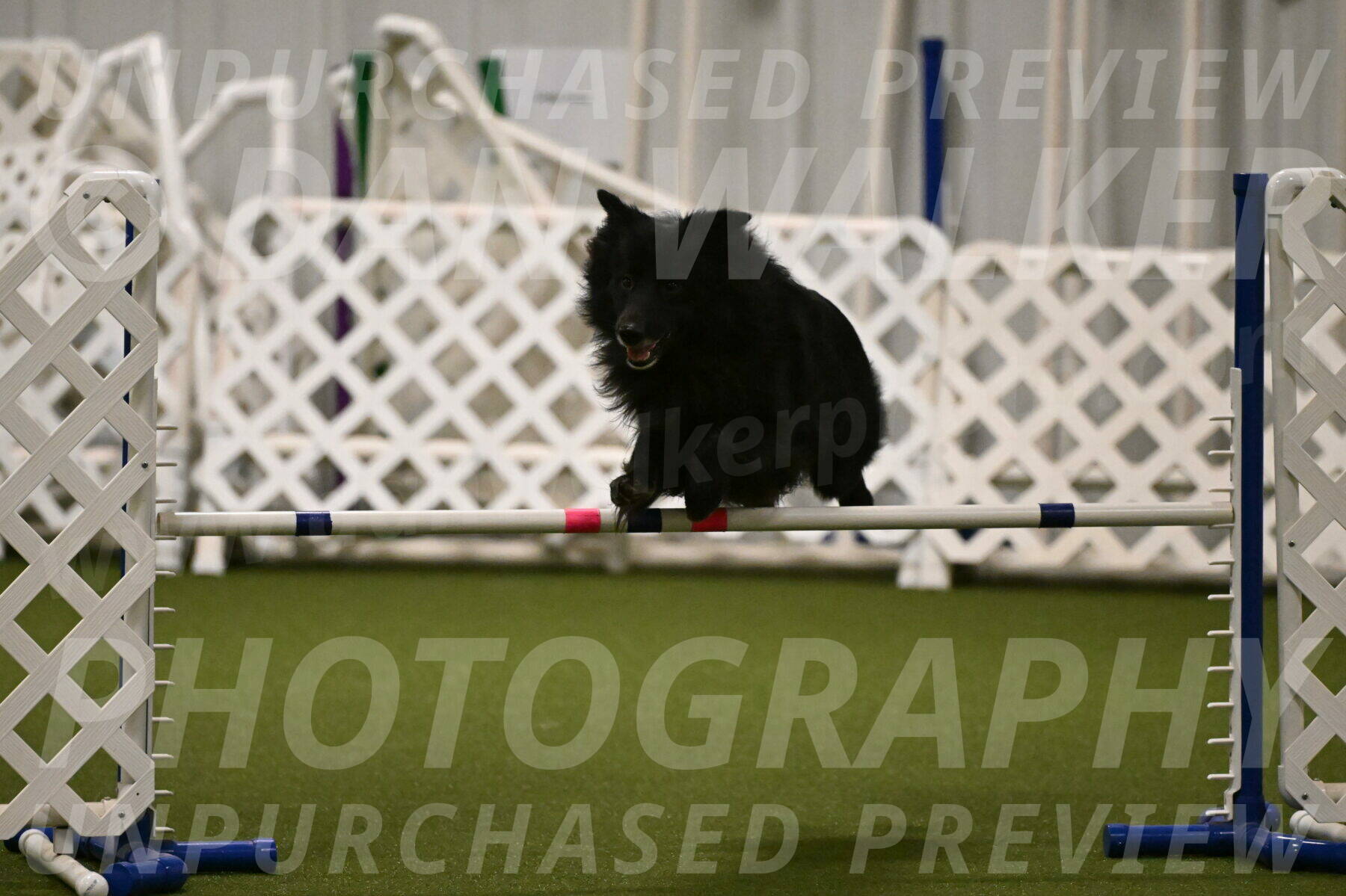 Okos-Stacie-Rosenburg-04292