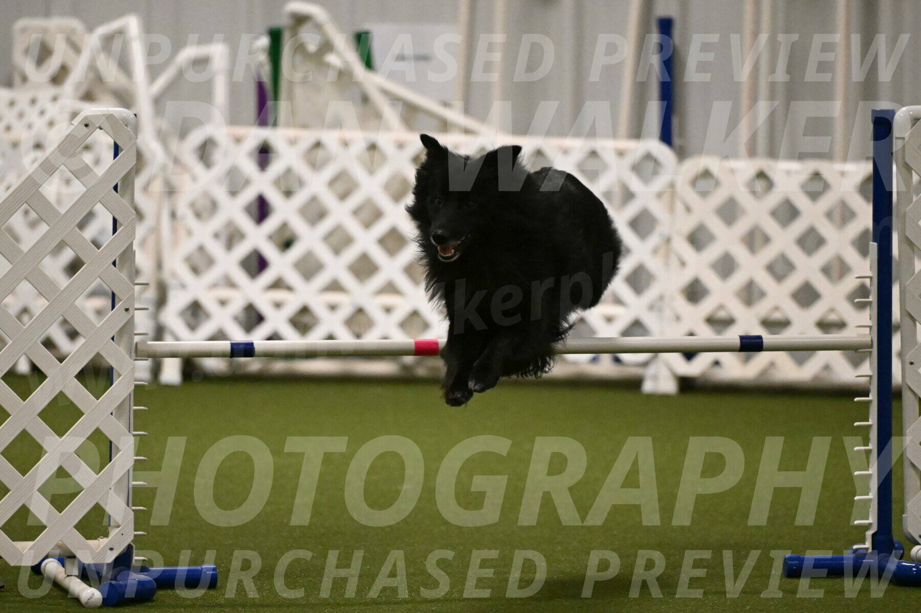 Okos-Stacie-Rosenburg-04293