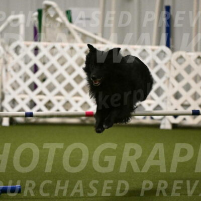 Okos-Stacie-Rosenburg-04293