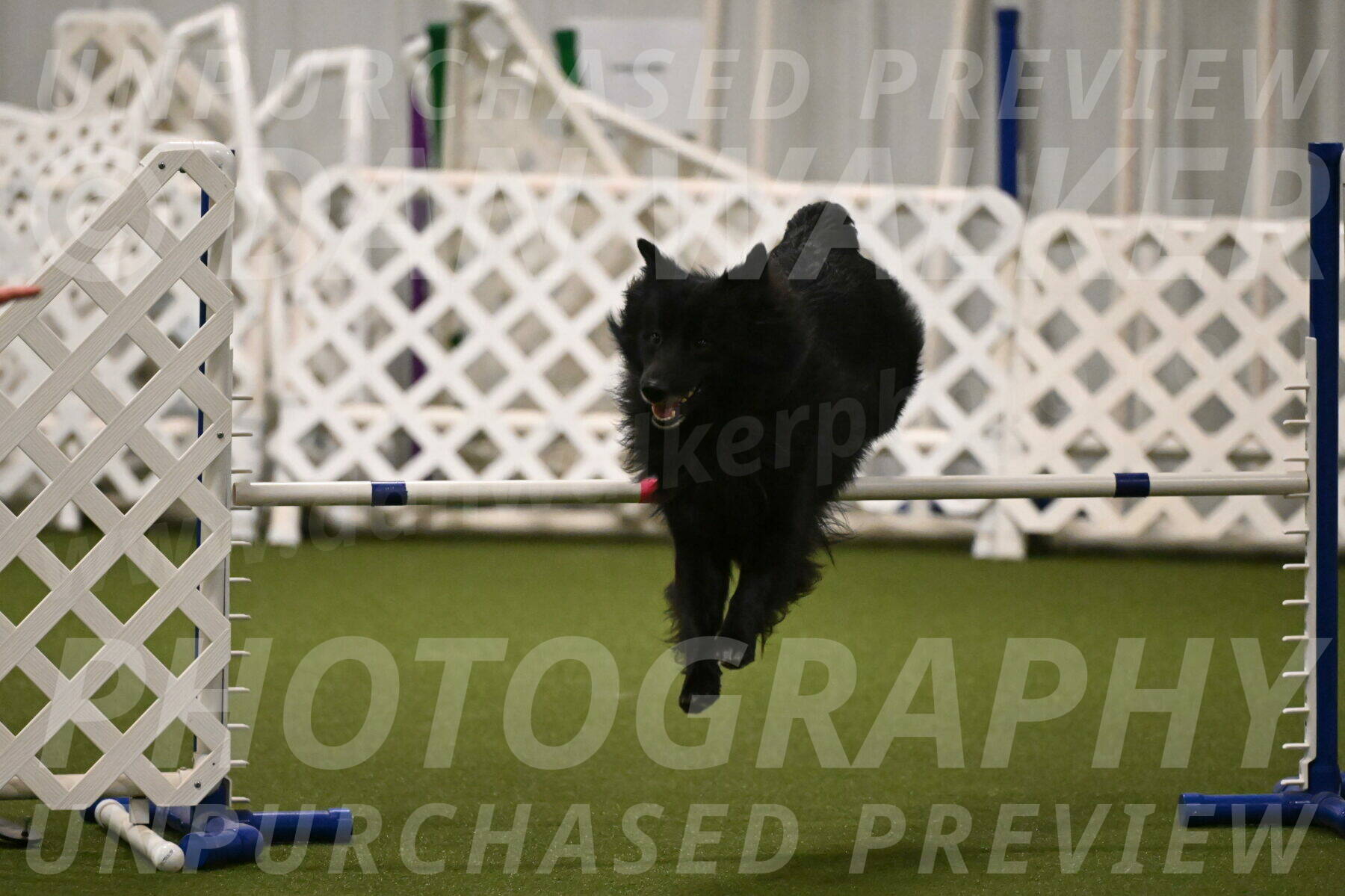 Okos-Stacie-Rosenburg-04294