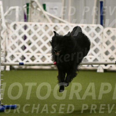 Okos-Stacie-Rosenburg-04294