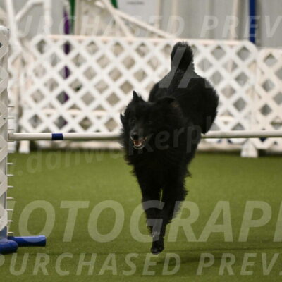 Okos-Stacie-Rosenburg-04295