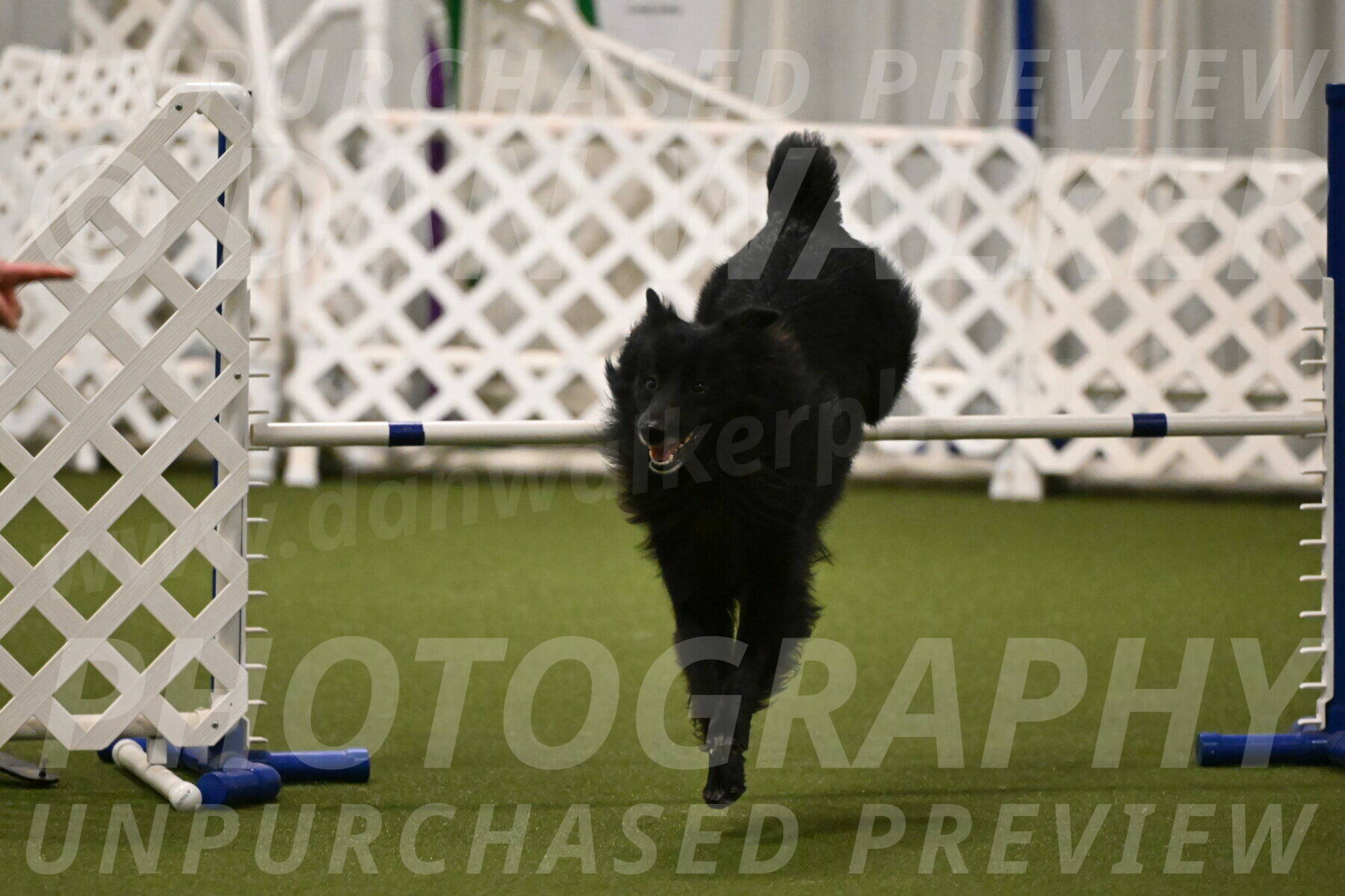 Okos-Stacie-Rosenburg-04295