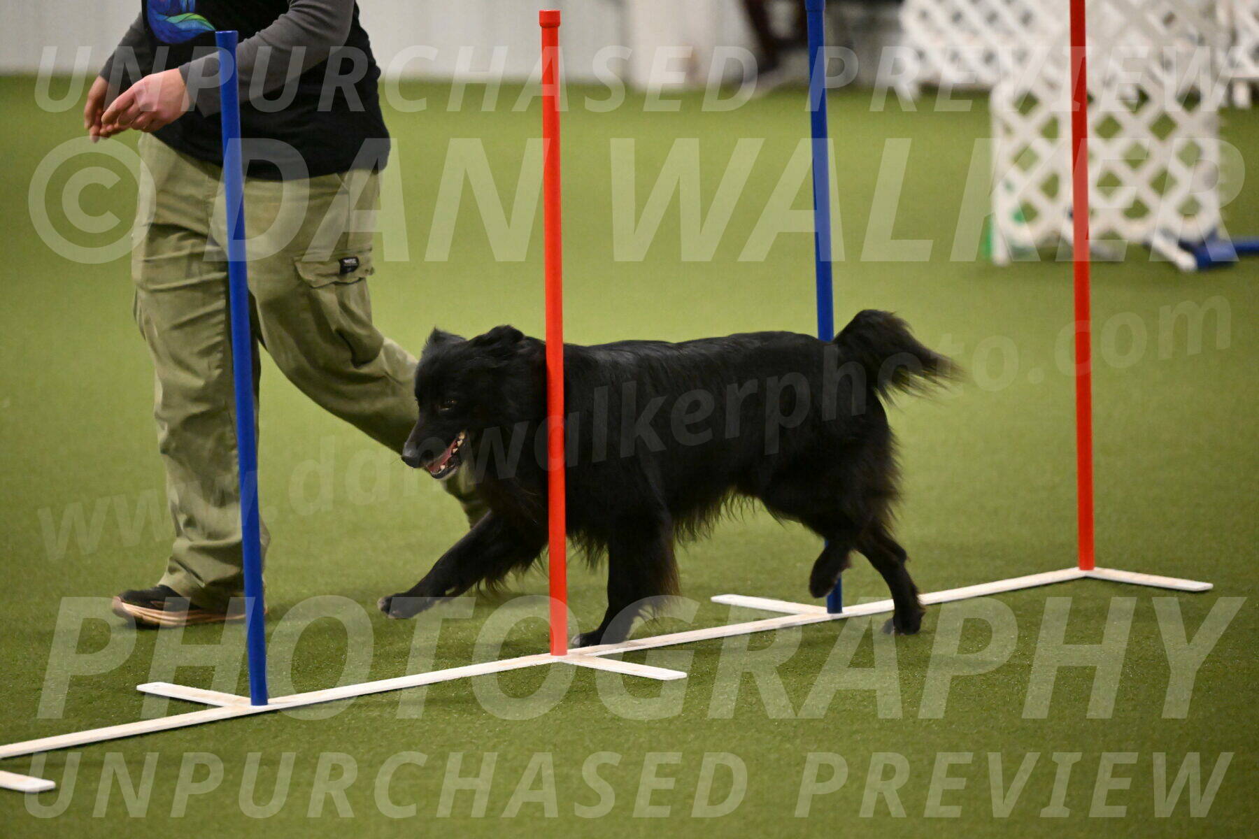 Okos-Stacie-Rosenburg-04296