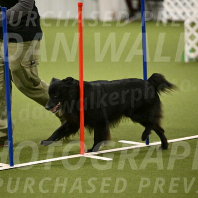 Okos-Stacie-Rosenburg-04296