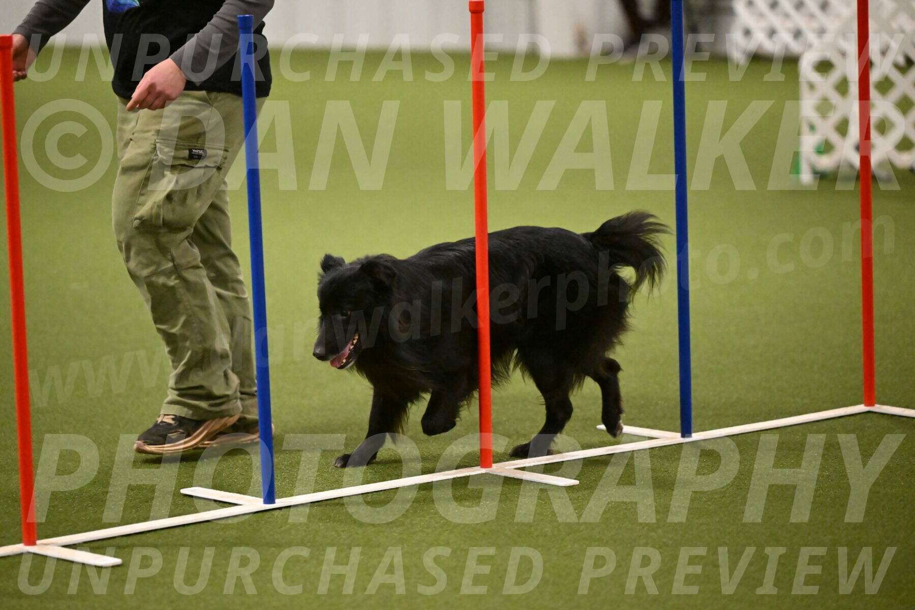 Okos-Stacie-Rosenburg-04297