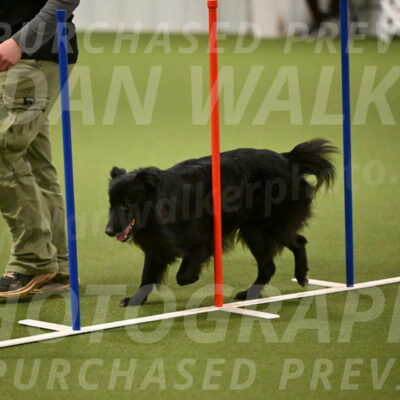 Okos-Stacie-Rosenburg-04297