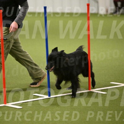 Okos-Stacie-Rosenburg-04298