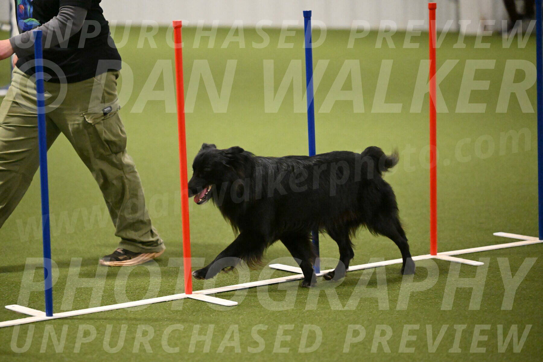 Okos-Stacie-Rosenburg-04299