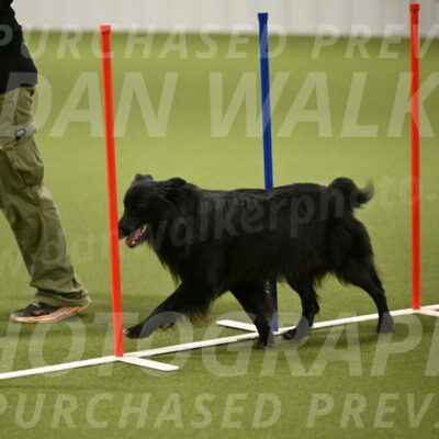 Okos-Stacie-Rosenburg-04299