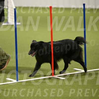 Okos-Stacie-Rosenburg-04300