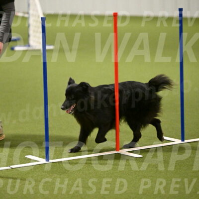 Okos-Stacie-Rosenburg-04301