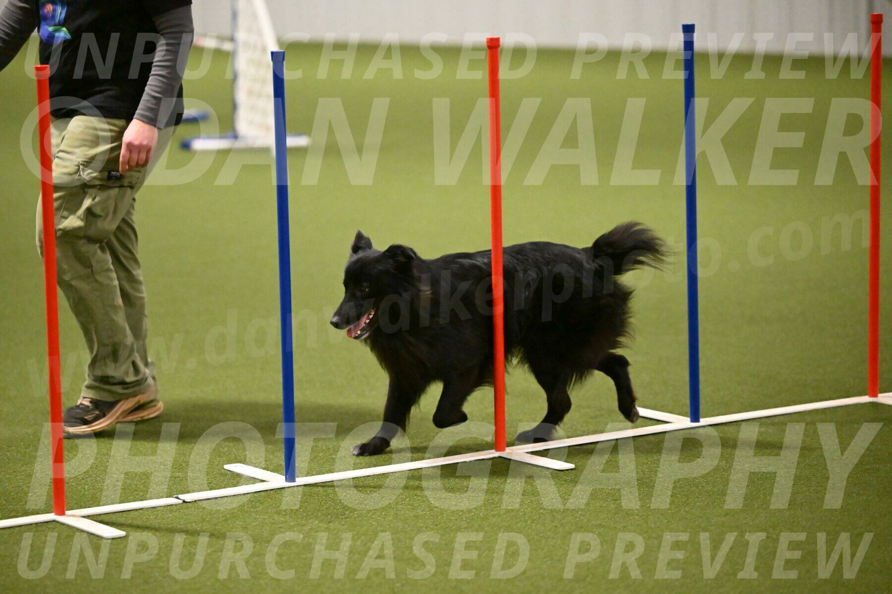 Okos-Stacie-Rosenburg-04301