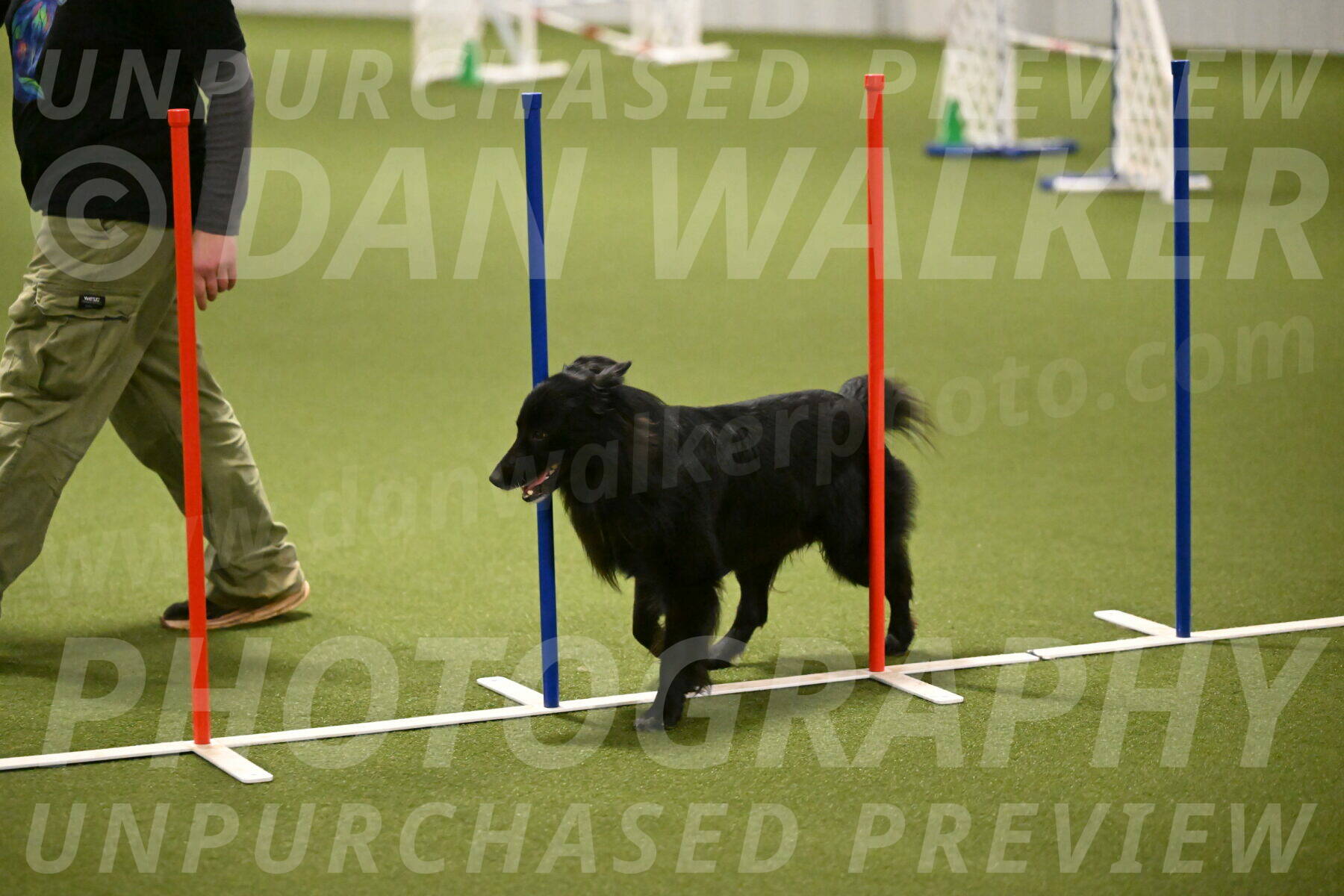 Okos-Stacie-Rosenburg-04302