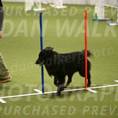 Okos-Stacie-Rosenburg-04302