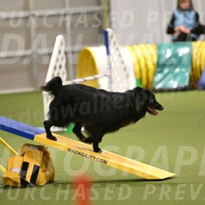 Okos-Stacie-Rosenburg-04303