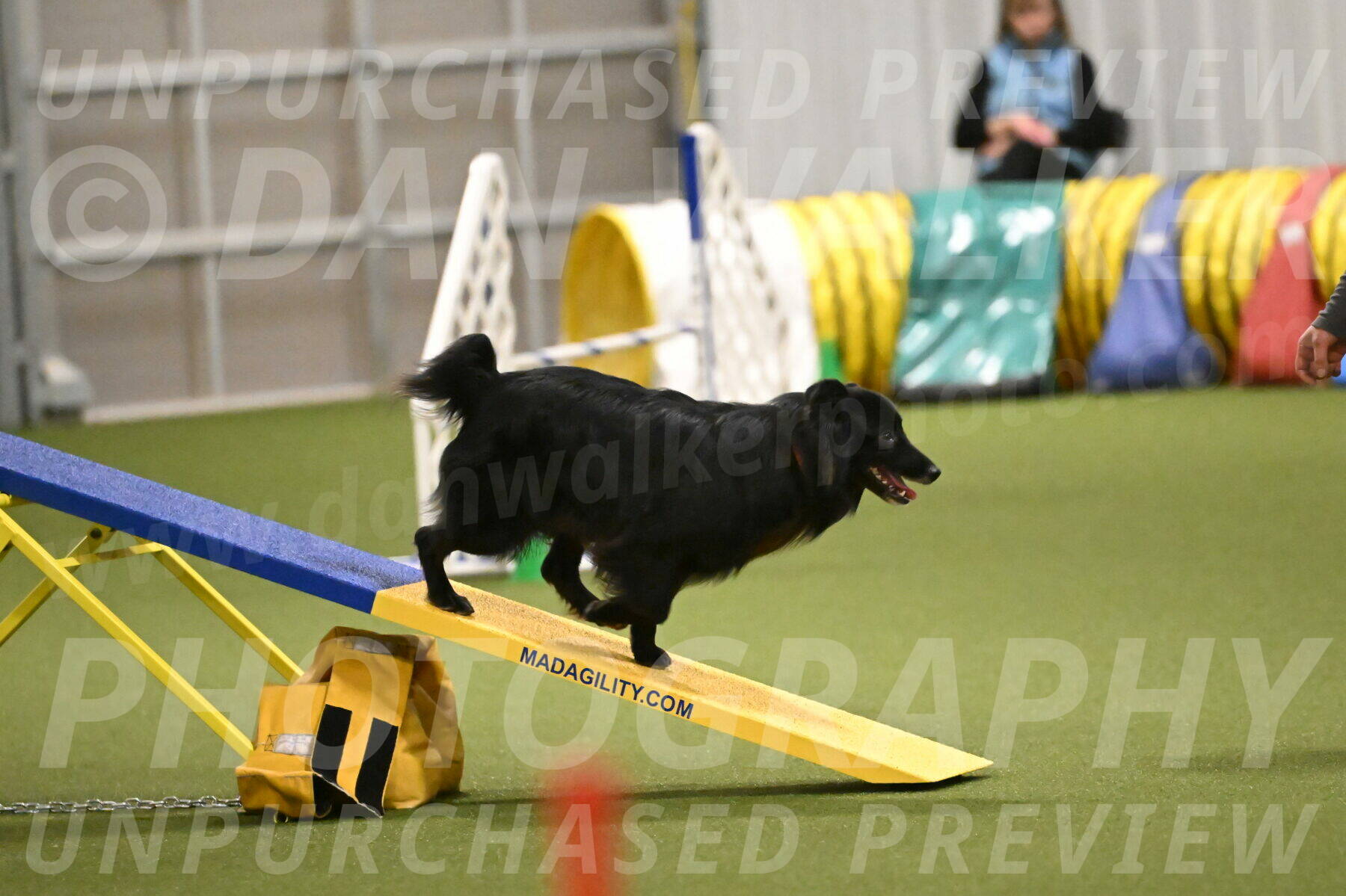 Okos-Stacie-Rosenburg-04303