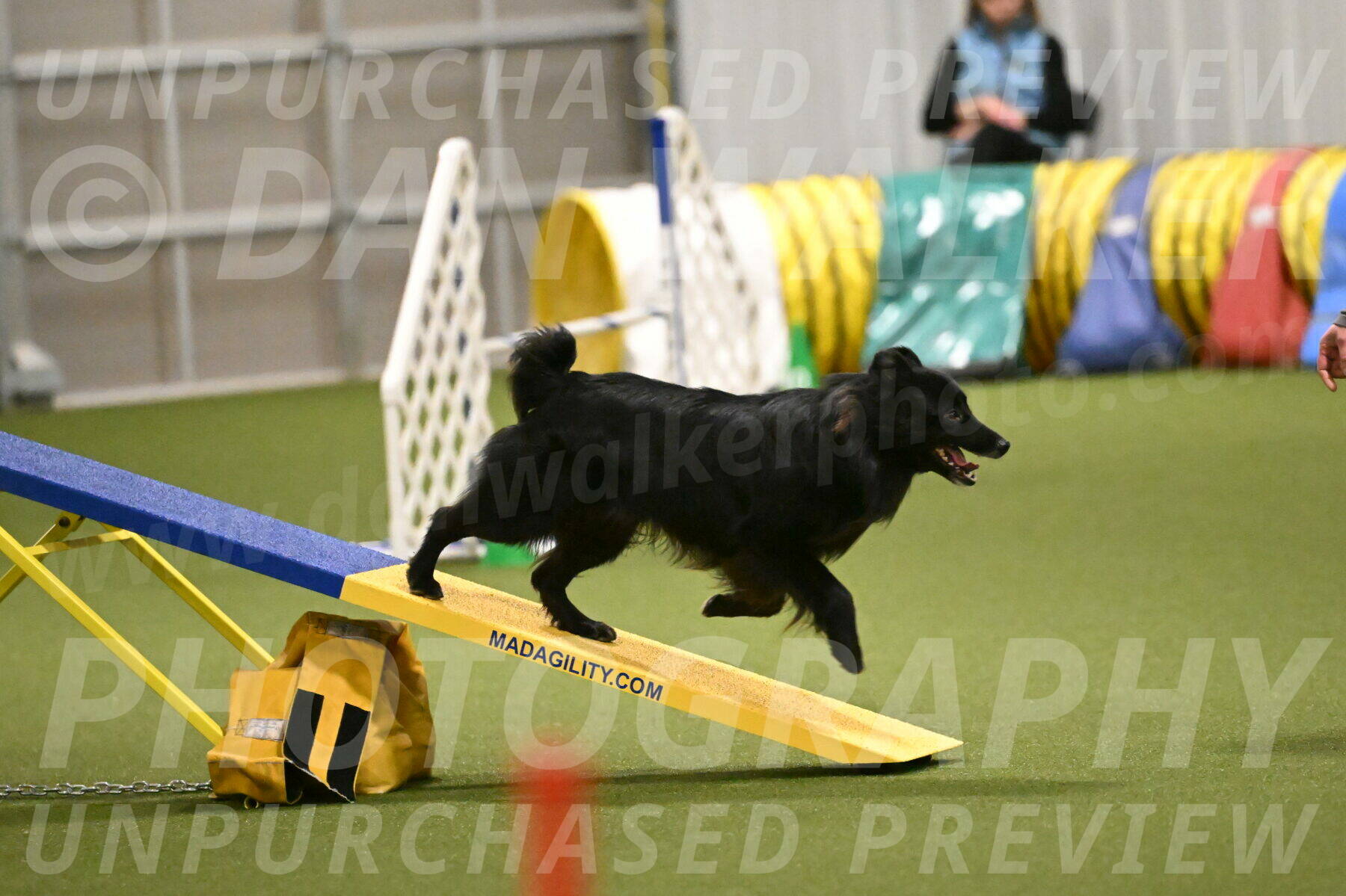 Okos-Stacie-Rosenburg-04304