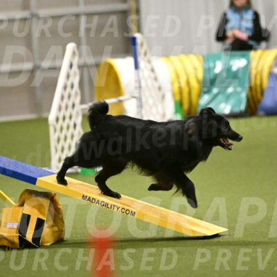 Okos-Stacie-Rosenburg-04304