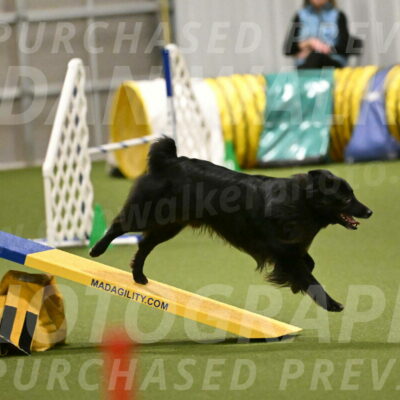 Okos-Stacie-Rosenburg-04305