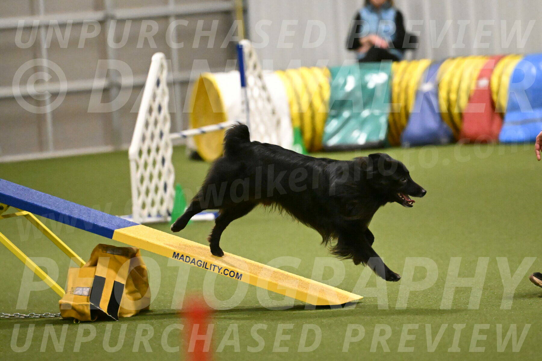 Okos-Stacie-Rosenburg-04305